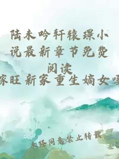 陆未吟轩辕璟小说最新章节免费阅读