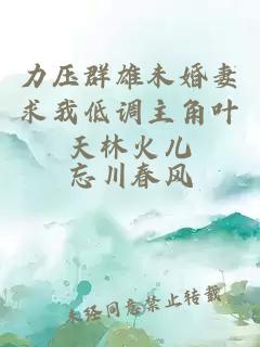 力压群雄未婚妻求我低调主角叶天林火儿