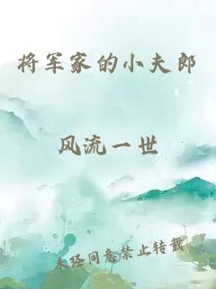 将军家的小夫郎
